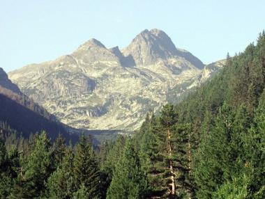 Земеделските стопани получиха близо 45 млн. лв. по НАТУРА 2000