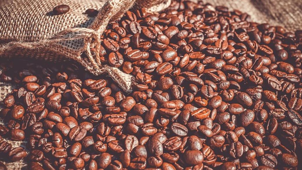 Етиопия се надпреварва с времето, за да спаси кафето
