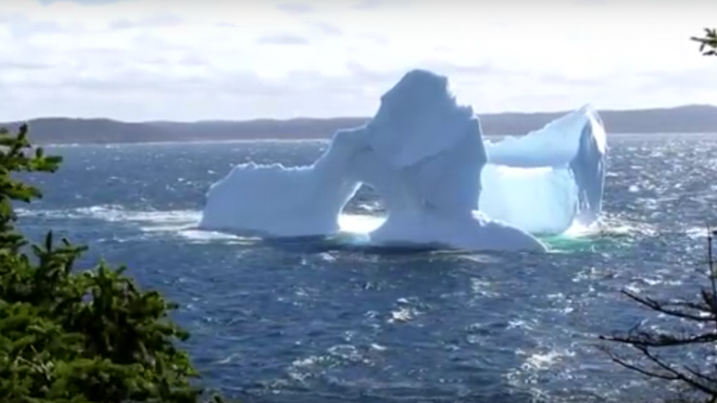 Необичаен айсберг се превърна в звезда в социалните мрежи