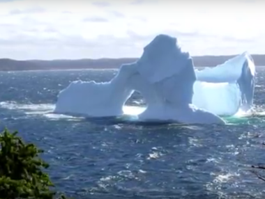 Необичаен айсберг се превърна в звезда в социалните мрежи