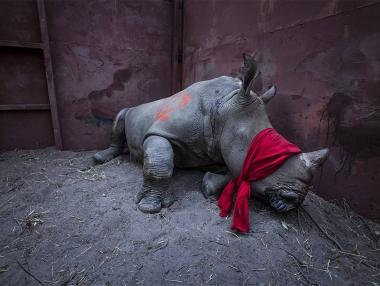 10 ключови тенденции в репортажната фотография