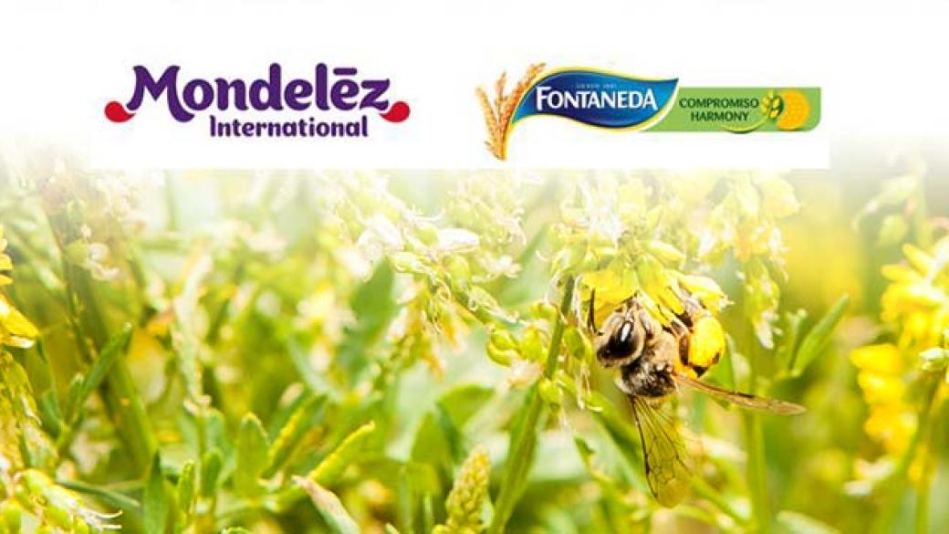 Mondelez разширява програмата за устойчивото производство на пшеница