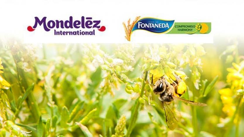 Mondelez разширява програмата за устойчивото производство на пшеница