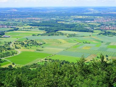Бум на сделки със земеделска земя