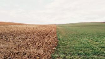Променят се условията за наем на земеделски земи