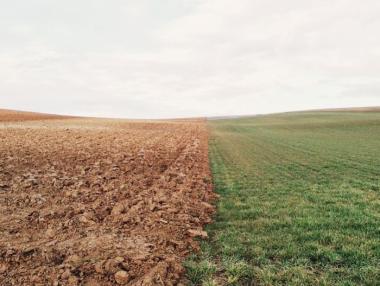 Променят се условията за наем на земеделски земи