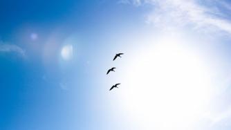 Китай продължава да унищожава озоновия слой