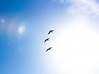 Китай продължава да унищожава озоновия слой