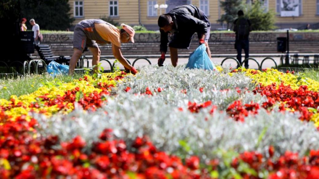 МТСП одобри още 1.88 млн. лв. за насърчаване на заетостта