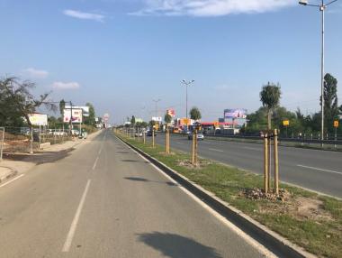 Дървета за хиляди левове бяха отсечени на Околовръстното в София