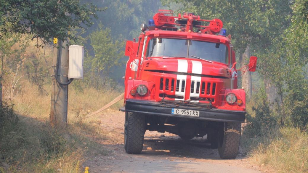 България предложи помощ на Гърция в битката с пожарите