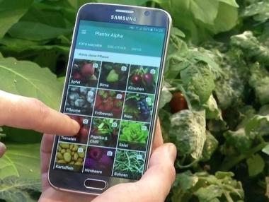 Приложение може да открива болестите при растенията