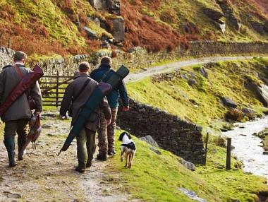 На 11 август се открива ловът на пъдпъдъци и гургулици