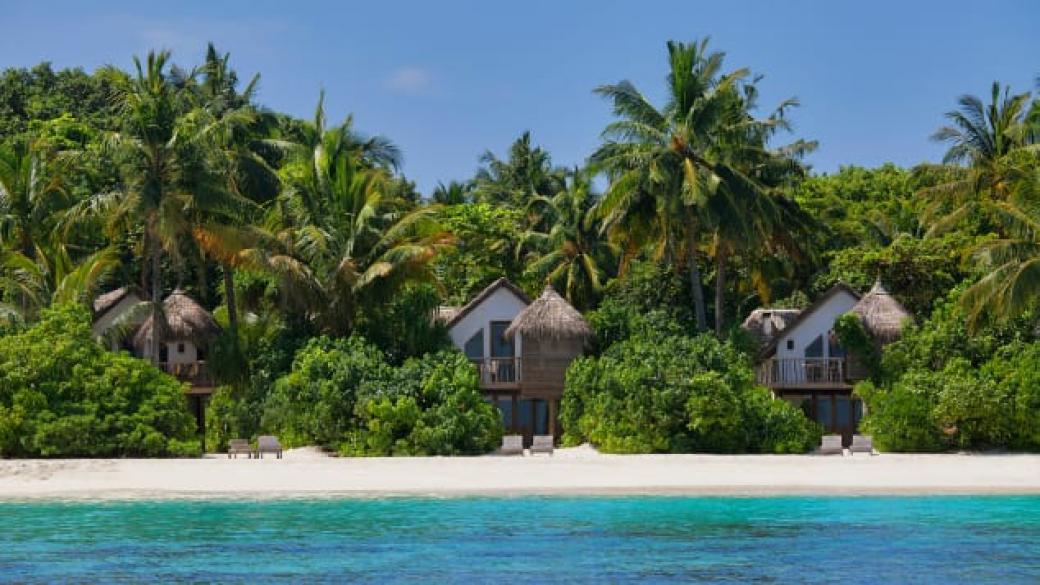 Работа-мечта: Луксозен курорт на Малдивите търси книжар