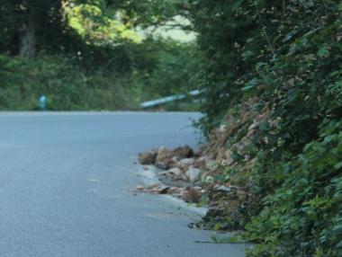 Експерти взеха за втори път проби от асфалта на пътя край Своге