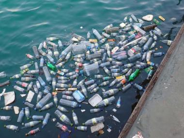 Папа Франциск призова за борба срещу пластмасата в океана