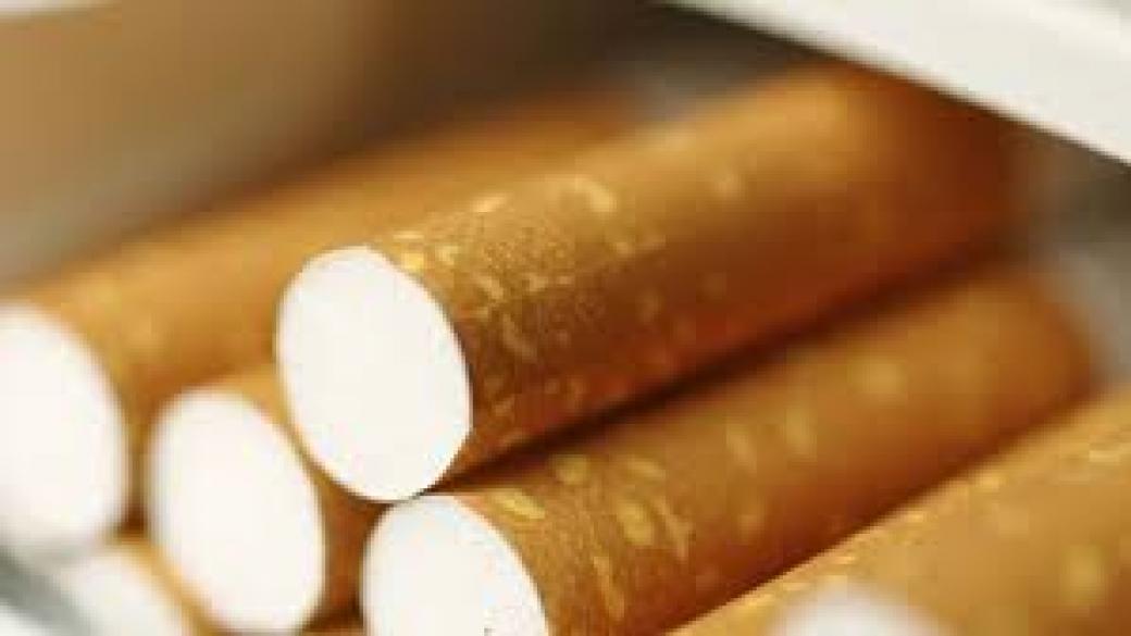 Фабриката за нелегални цигари край Карнобат е ощетила бюджета с над 70 млн. лв.