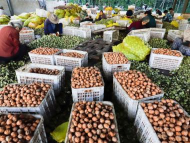 Износът от Китай е нараснал по-малко от очакваното