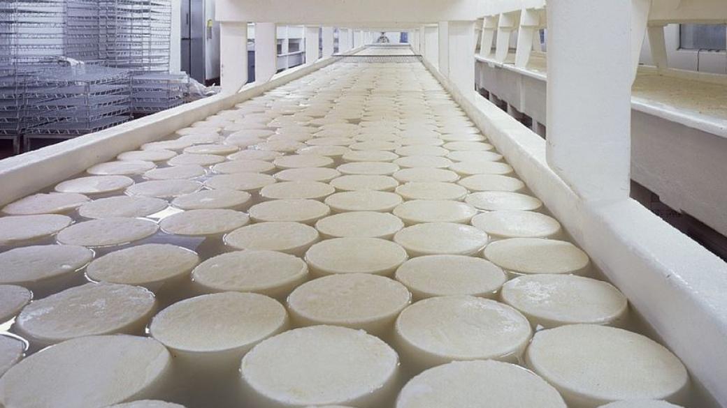 Производители искат пълна забрана на млечни продукти с палмово масло