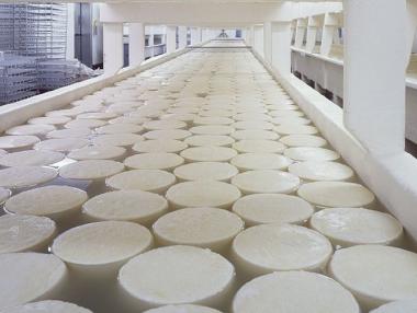 Производители искат пълна забрана на млечни продукти с палмово масло