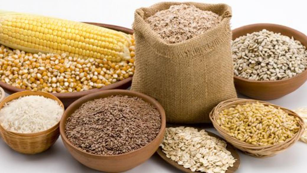 Държавата поиска спиране на приватизацията на „Сортови семена – Елит“