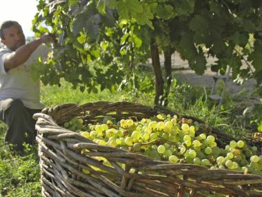 Работниците от ЕС няма да са привилегировани, реши Лондон