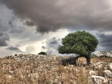 Силна буря в Гърция спря фериботи и затвори училища