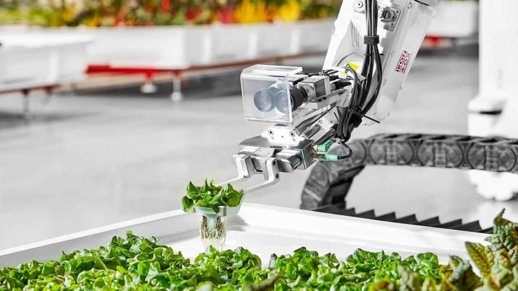 Роботът Ангъс отглежда зеленчуци в първата автономна ферма
