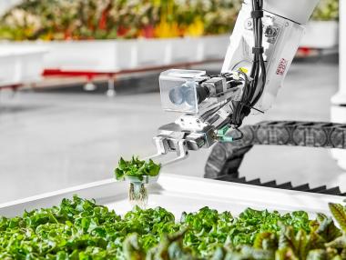 Роботът Ангъс отглежда зеленчуци в първата автономна ферма