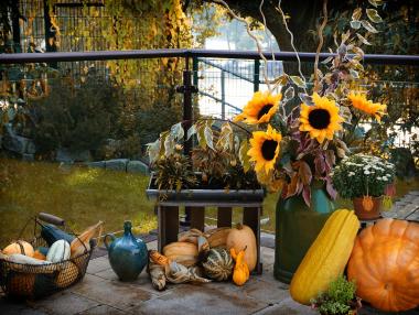 Американците ще изхарчат 9 млрд. долара за Хелоуин