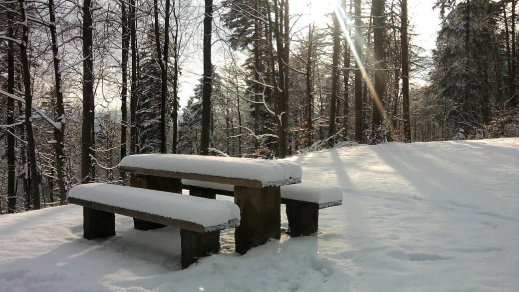 Как да планираме пикник през зимата