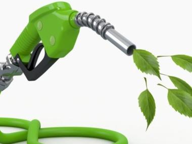 Биодобавката в горивата е опасна за старите коли