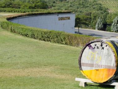 Вино, направено с професионализъм