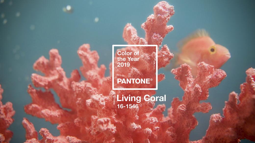 „Жив корал“ е цветът на 2019 г.