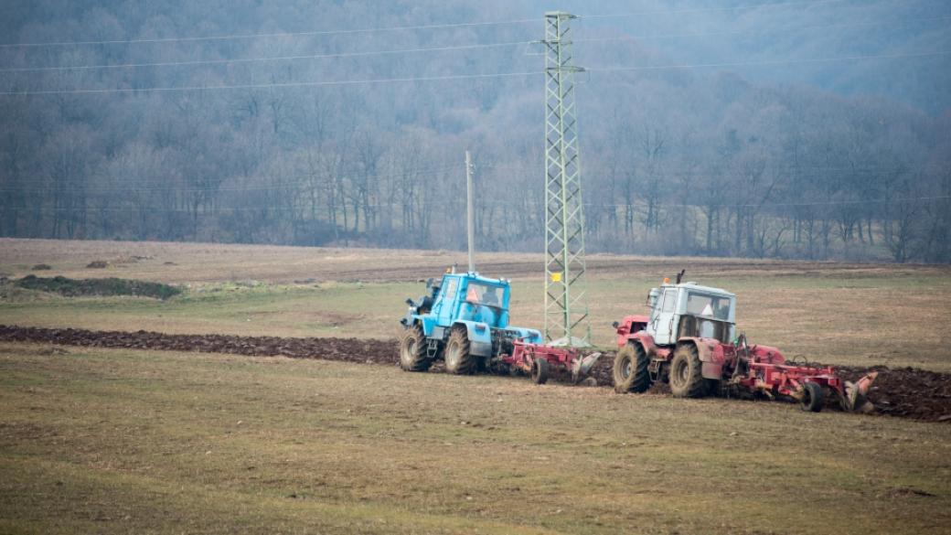 Производството в селското стопанство намалява