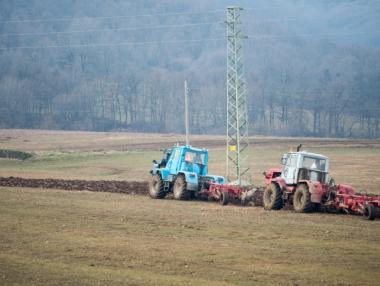 Производството в селското стопанство намалява