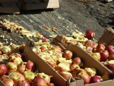 Русия забрани вноса на 50 вида стоки от Украйна