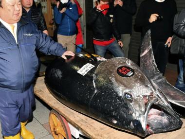 Най-скъпата риба бе продадена за 3.1 млн. долара в Токио