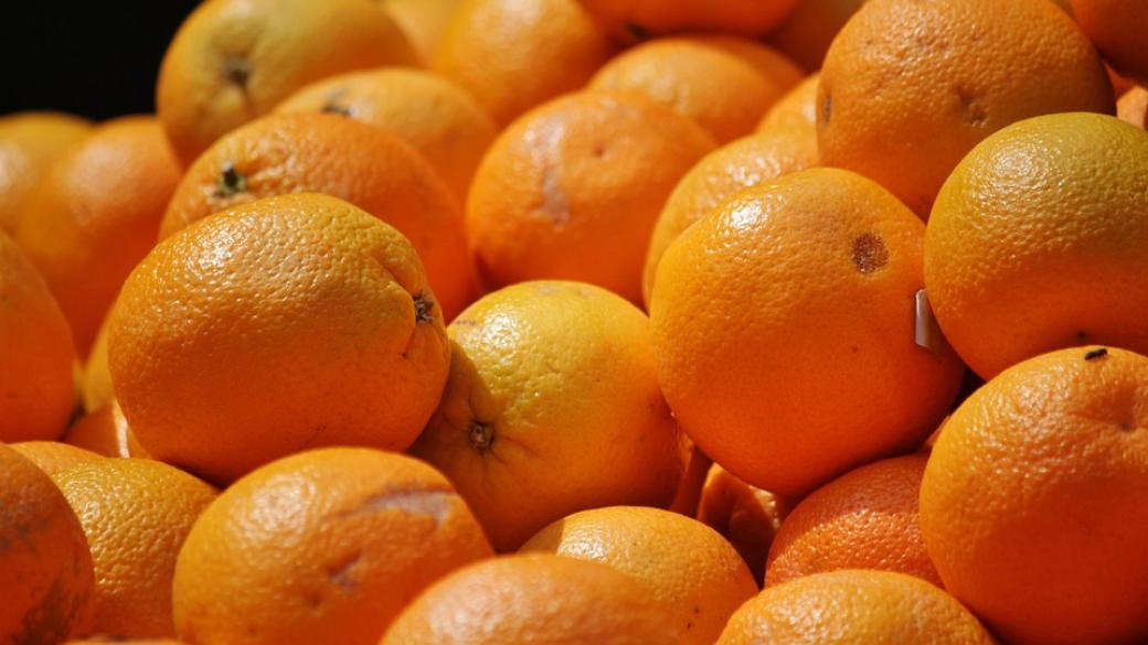 Испания произвежда най-много портокали в ЕС