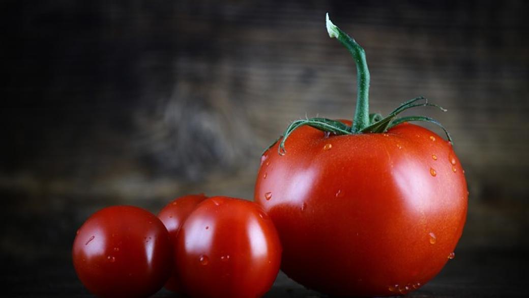 Учени планират да създадат люти домати