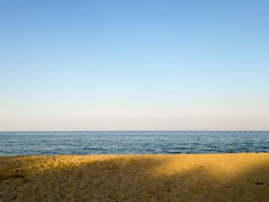 Изсичат борови дървета край “Арапя” заради изграждане на ваканционни вили