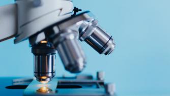 2019 Will Be the Year of Biotechnology