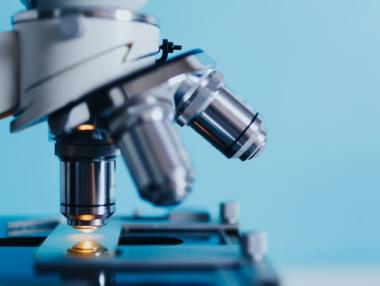 2019 Will Be the Year of Biotechnology