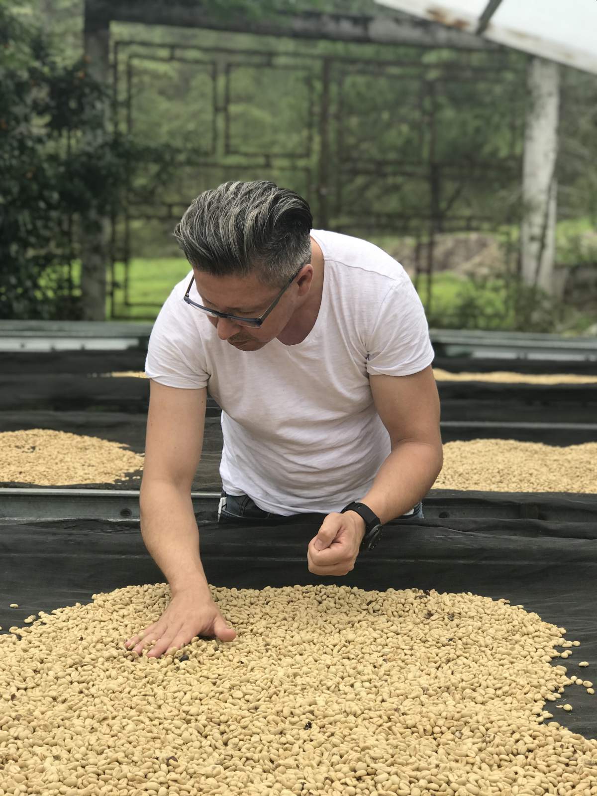 Обработка на кафе зърна