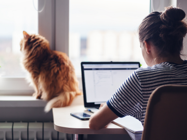 Професии, които можем да работим от вкъщи