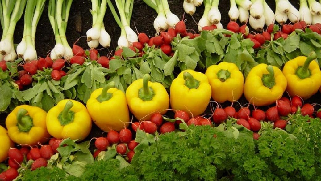 Регистър на производителите ще следи по-стриктно вноса на плодове и зеленчуци