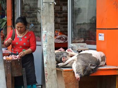 Евронюз: Свиневъдството в Източна Европа е застрашено от заличаване