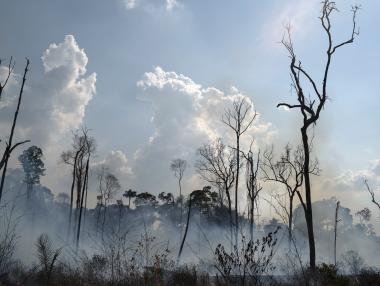 Лидерите на Г-7 решиха да помогнат за пожарите в Амазония
