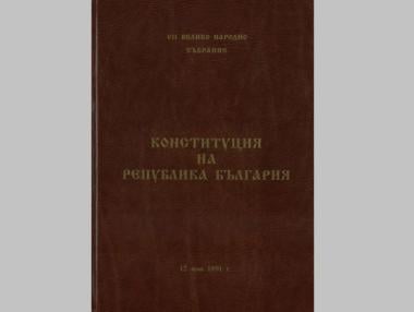 Новата конституция е голям риск за икономиката