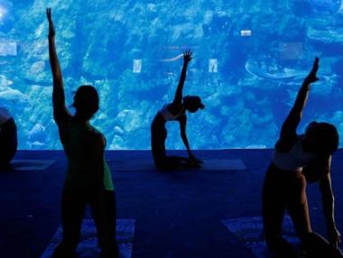 Аквариум в Хонконг предлага йога с акули